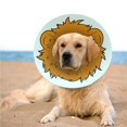 thumbnail image 3 of Pet Elizabeth Circle Collar De Recuperación Para Perros Collar De Cono Protector Después De La Cirugía Methold PT001279-00, 3 of 7