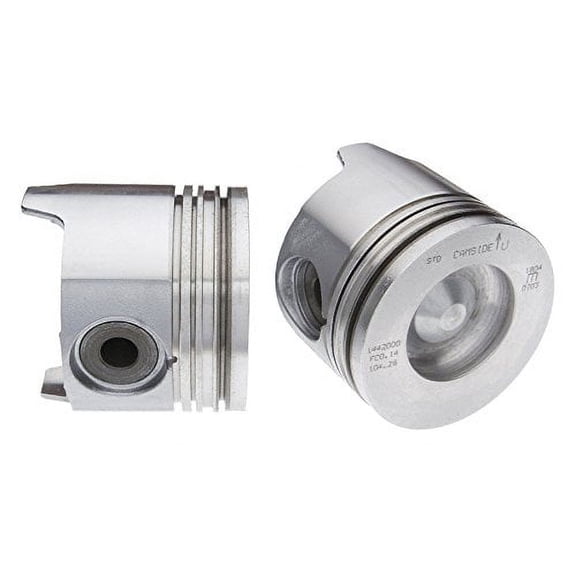 Clevite 77 224-3163.020