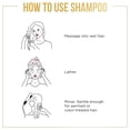 thumbnail image 3 of Set de champú y acondicionador Pantene Voluminizing Free Sulfate, 3 of 9
