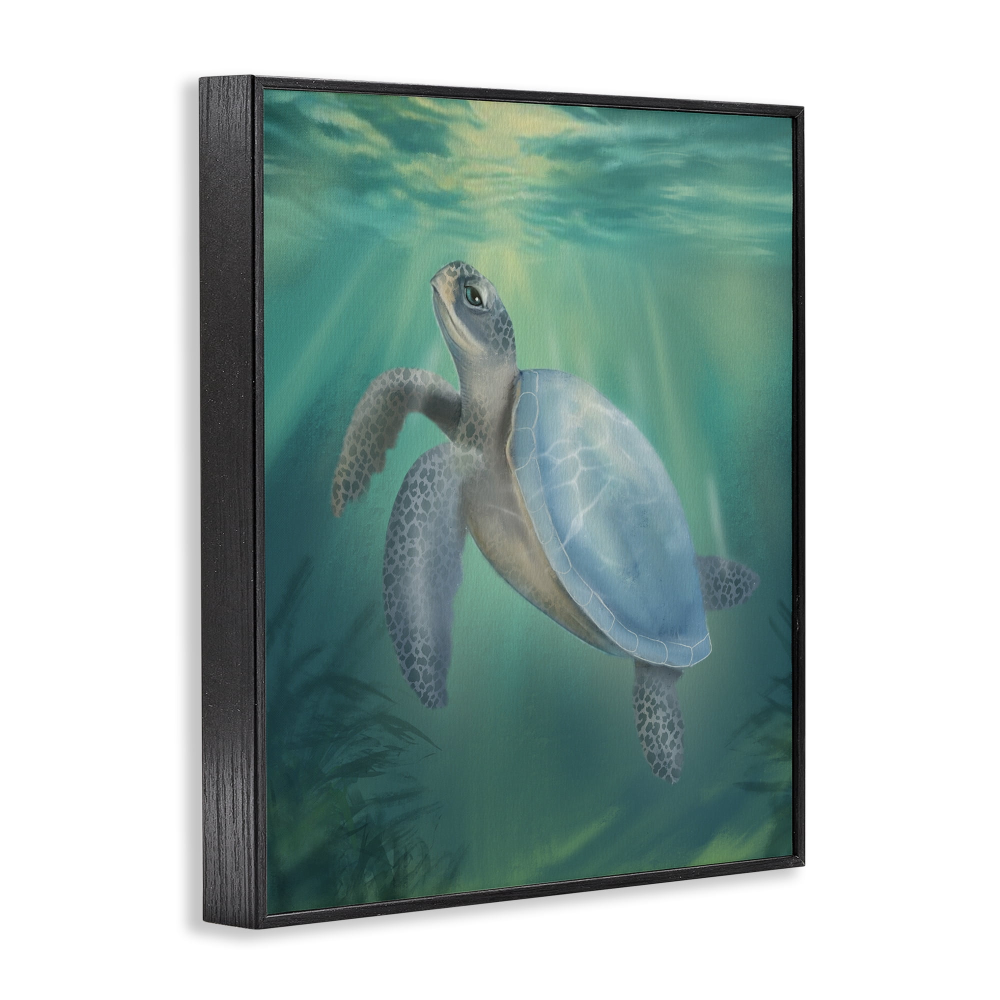 Stupell Industries Coastal Beach Sea Turtle Black Framed Giclee Art, design by Matthew Piotrowicz