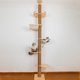 thumbnail image 1 of Cat Tree TQEW de suelo a techo, altura ajustable de 50 a 120 cm, 1 of 8