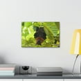 thumbnail image 3 of Majestic Vampire Bat Art Majestic Vampire Bat Print Animal Wall Art Wildlife Canvas Prints Wall Art Ready to Hang Unframed, 3 of 18