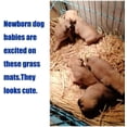 thumbnail image 2 of Hamiledyi 3Pcs Grass Mat for Rabbit Bunny Chew Toys Woven Hay Bed Mat for  Small Animal，11"x7.5", 2 of 7