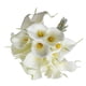 thumbnail image 5 of OHOIOLLA 12Ud Ramo De Flores Artificiales Calla Para De Eventos Y Ambientes En PU, 5 of 8