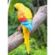 thumbnail image 3 of Simulación Guacamayo Animal Juguete Loro Juguetes Decoración Enseñanza Props Modelo de pared colgante Amarillo Cola Loro de simulación, 3 of 8