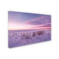 thumbnail image 2 of Trademark Fine Art 'Field of Frost' Canvas Art by Philippe Sainte-Laudy, 2 of 3