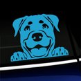 thumbnail image 1 of Peeking Rottweiler - Vinyl Car Decal - Choose Color - [ICE BLUE], 1 of 1