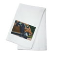 thumbnail image 1 of Great Smoky Mts. National Park, TN, View of Black Bear and Cubs Looking in a Car (100% Cotton Tea Towel, Decorative Hand Towel, Kitchen and Home), 1 of 3