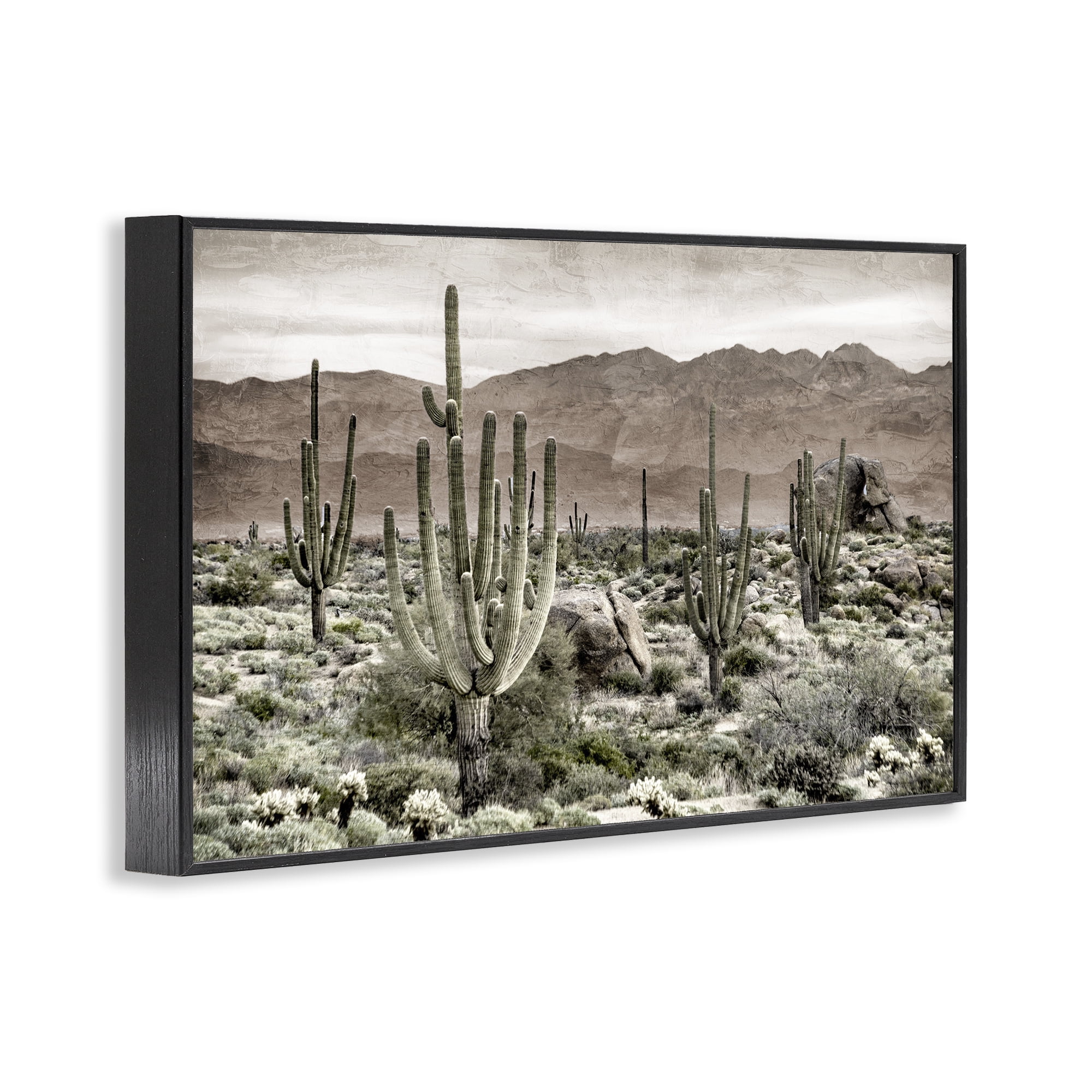 Stupell Industries Desert Land Cacti Wilderness Black Framed Giclee Art, design by Kim Allen