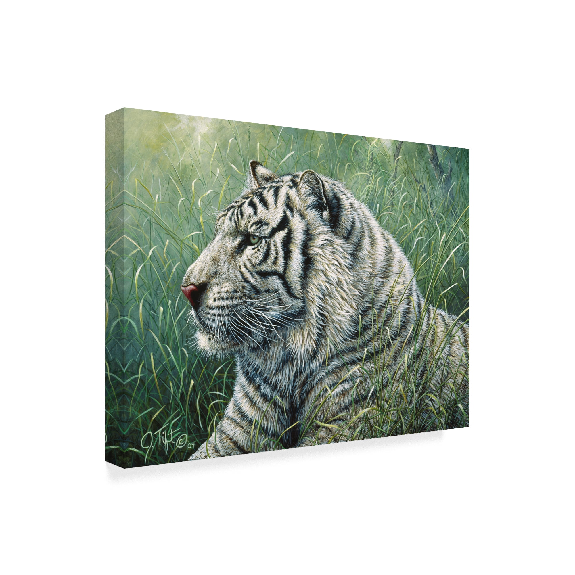 Trademark Fine Art 'White Tiger' Canvas Art by Jeff Tift