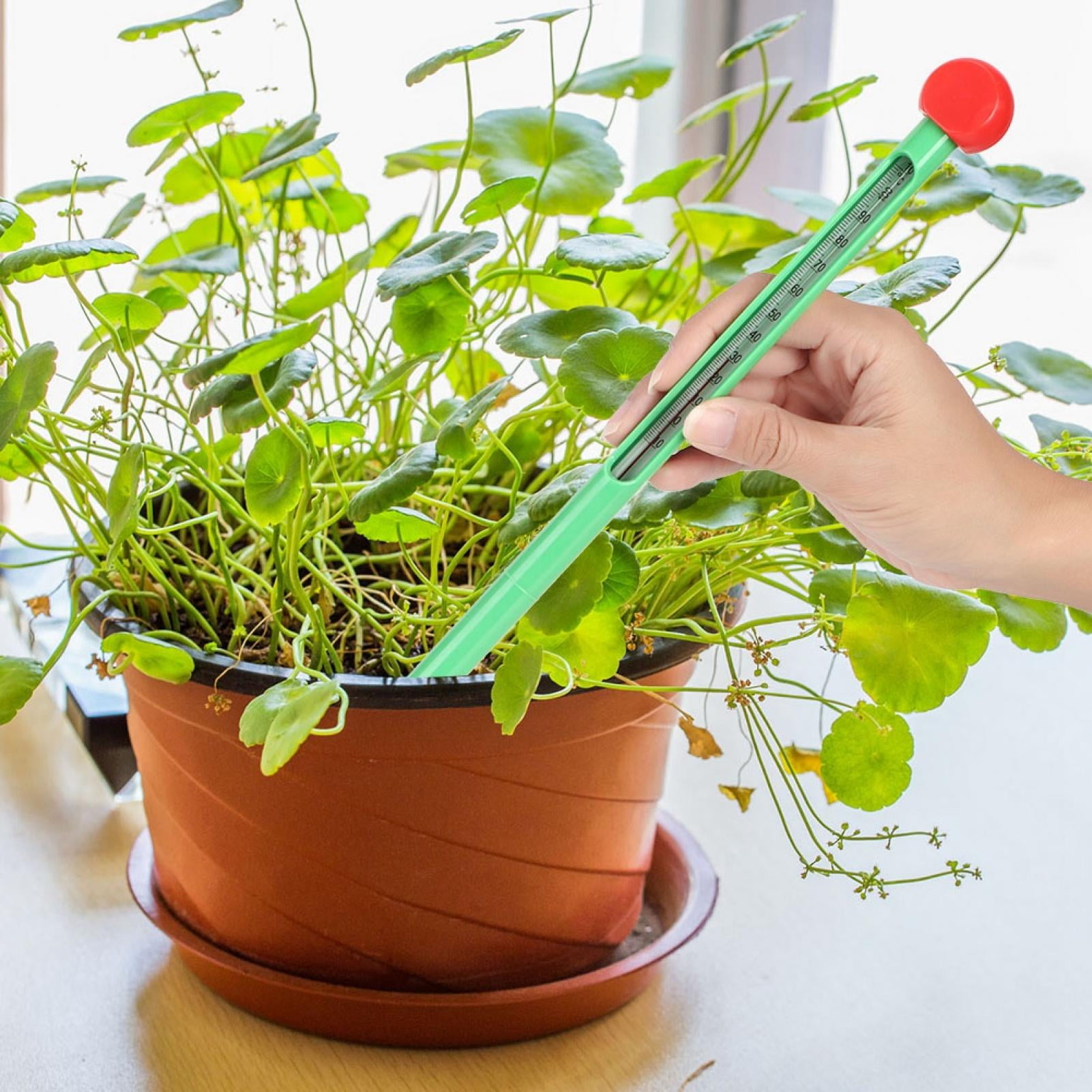 Loewten Convenient To Use Soil Thermometer, Thermometer, Outdoor Plants