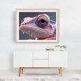 thumbnail image 3 of exotic lizard - Photography Surrealism Psychedelic Abstract Modern Art Wildlife Geometric Unframed Wall Art Print 24 x 30 inches, 3 of 4