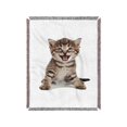 thumbnail image 1 of Cat Laugh, 1 of 2