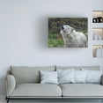thumbnail image 2 of Trademark Fine Art David Drost Howling Wolf Canvas Wall Art, 2 of 4