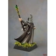 thumbnail image 2 of Arakus Landarzad Wizard Miniature 25mm Heroic Scale Dark Heaven Legends Reaper Miniatures, 2 of 3