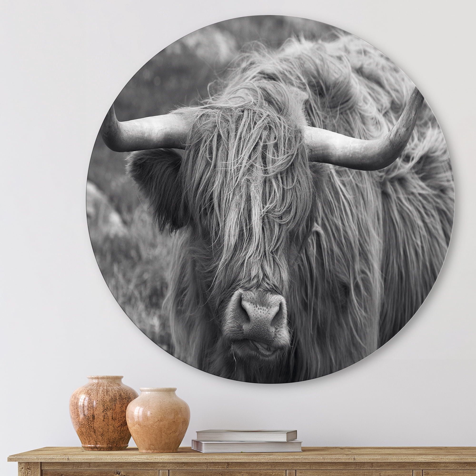 Close Up Of Scottish Cow On Moorland I 11 in x 11 in Photography Art Prints, by Designart