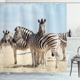 thumbnail image 1 of Ambesonne Zebra Shower Curtain, Namibia Africa Animals View, 69"Wx75"L, Pale Blue Beige and Black, 1 of 3