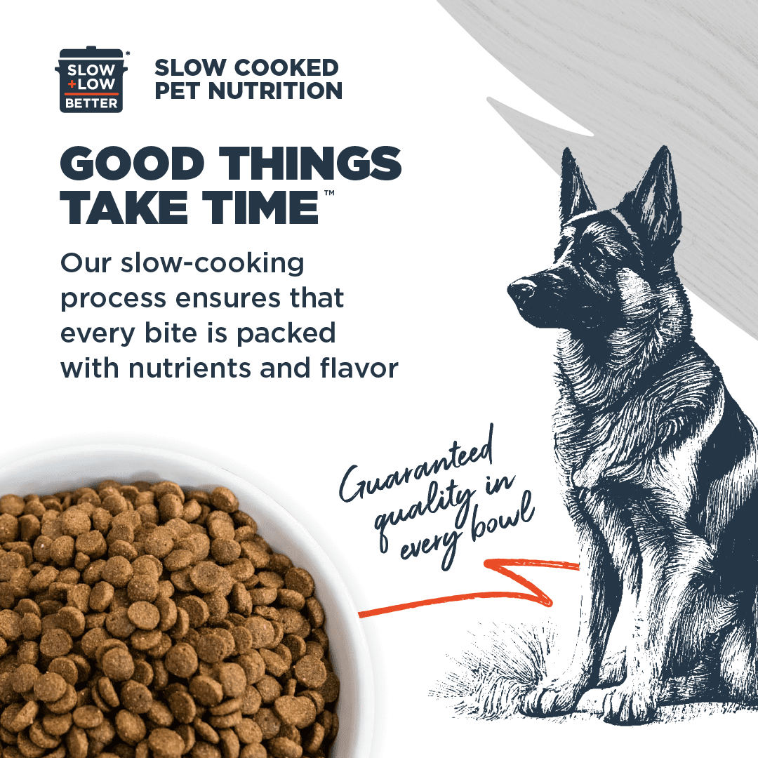 Blackwood Dry Dog Food Lamb & Chicken Meal with Ancient Grains 10 lb.