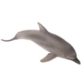 thumbnail image 3 of Juguetes Colecciones Realista Cretácico Modelo de Acción Dolphin para Sunnimix Modelo animal, 3 of 8