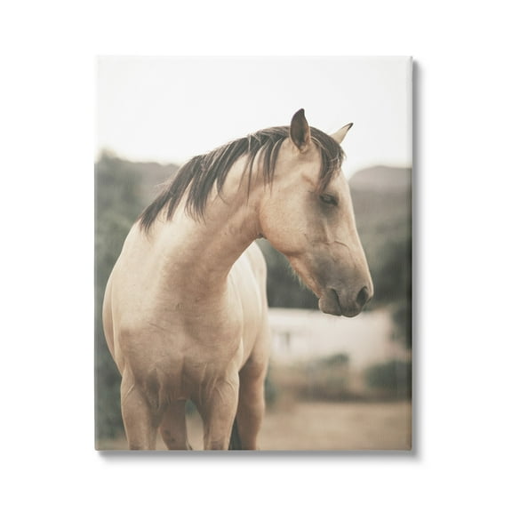 Stupell Industries Serene Countryside Landscape Brown Horse Portrait Photography Gallery-Wrapped Canvas Print Wall Art, 36x48, by Leah Straatsma