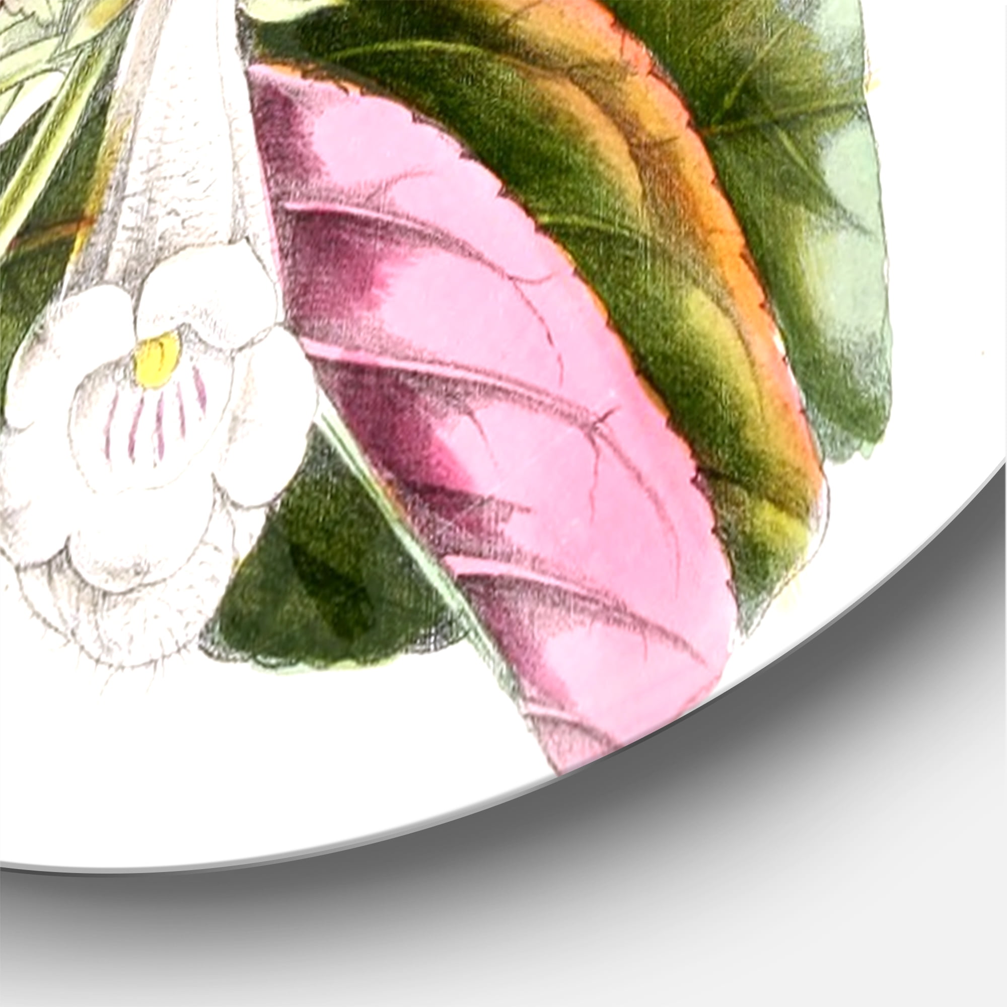 Designart 'Blossoming Vintage Flower V' Traditional Circle Metal Wall Art 29x29 - Disc of 29