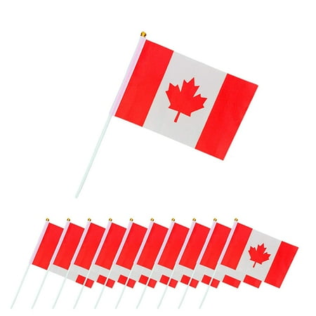 Canada Flag, Vivid Color Mini Canadian Flag Fade Resistant Small Canada Flag, Canada Hand Flag ...