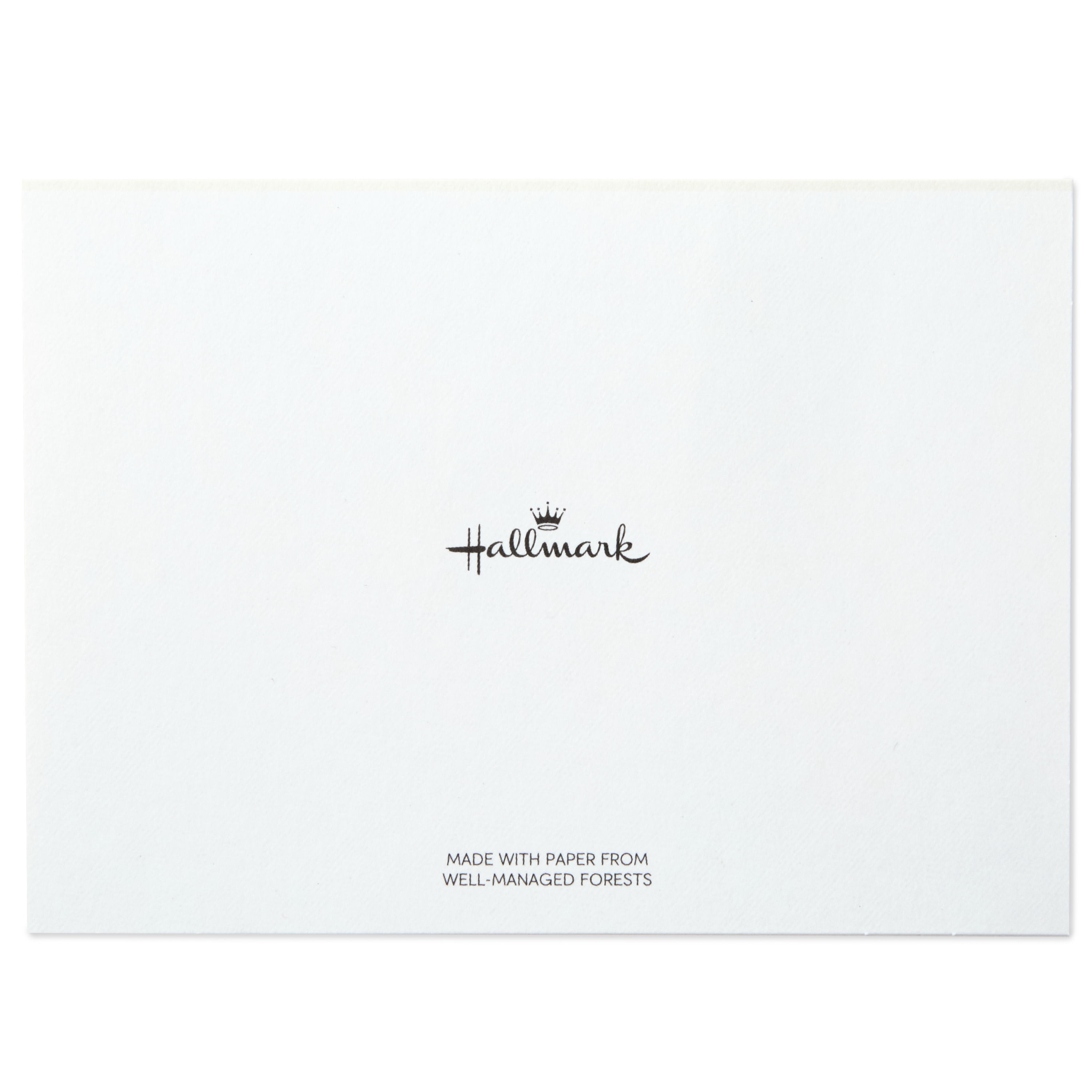Hallmark Boxed Blank Thank You Notes (Black-and-White Striped), 40 Count