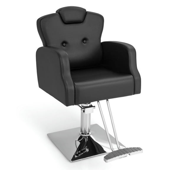 Resenkos Salon Chair, Barber Chair,Heavy Duty Salon Chair with 360 Degrees Swivel-Black