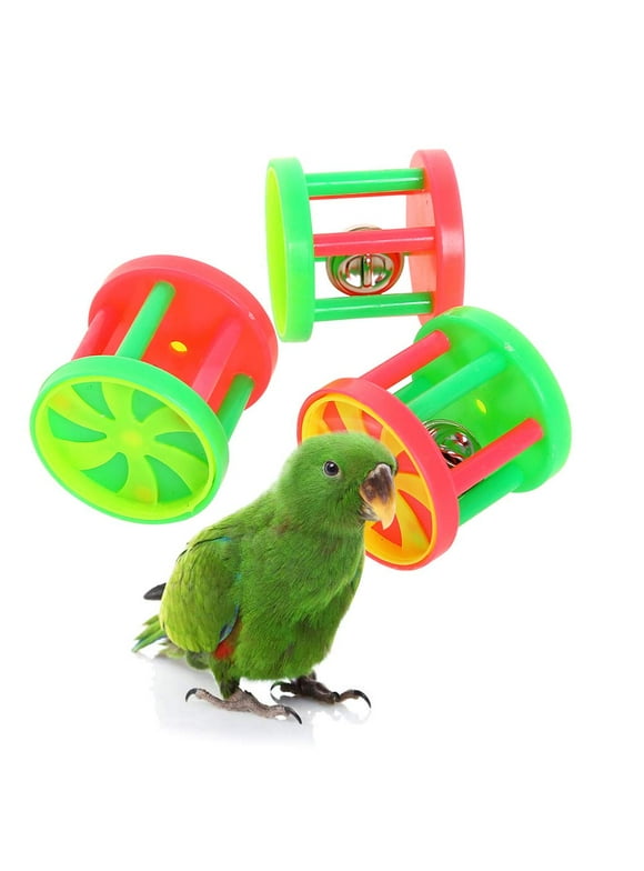 Bird Toys in Birds