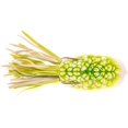 thumbnail image 2 of Scum Frog Popper 5/16 oz, 2 of 3