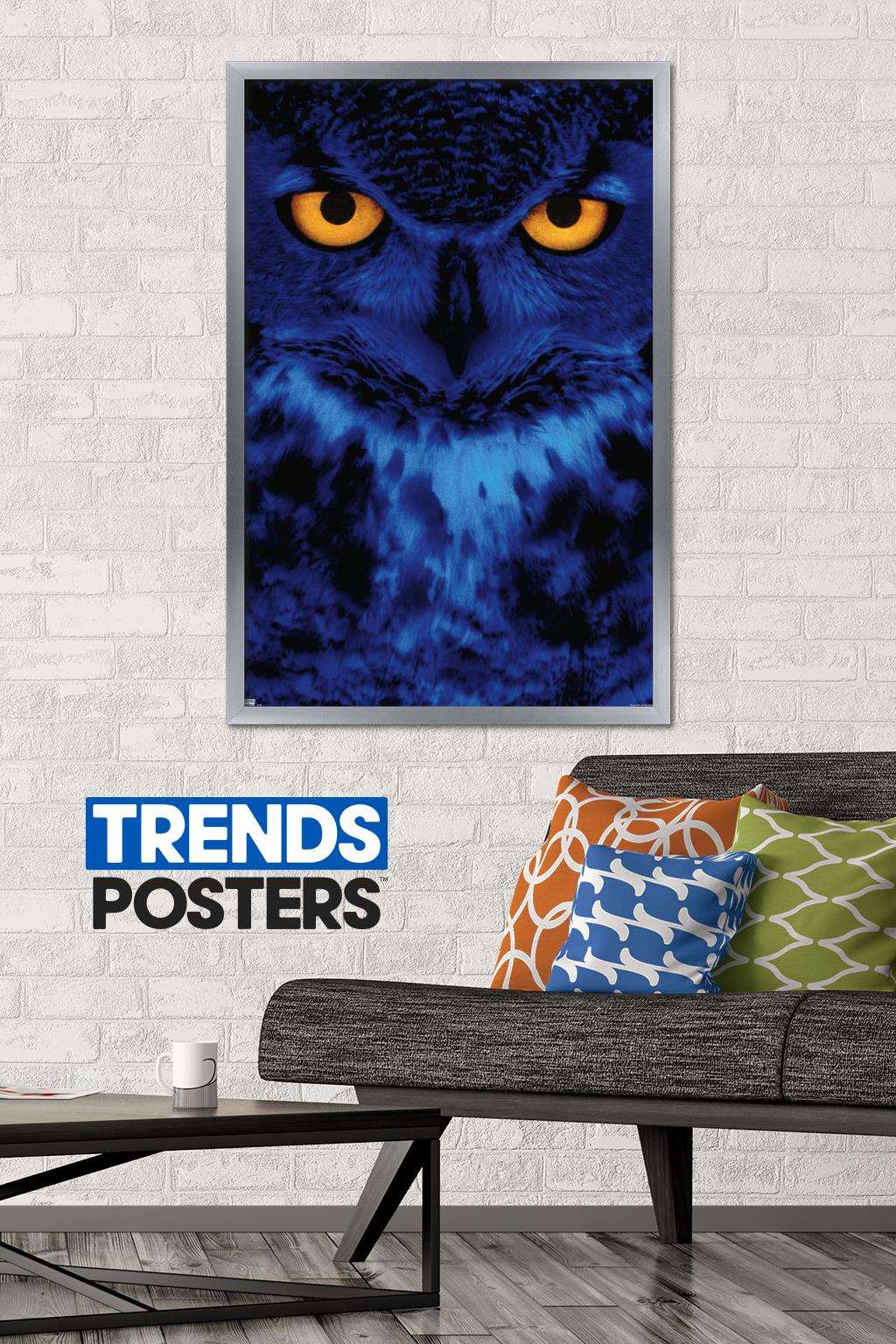 Owl - Eyes Wall Poster, 22.375" x 34", Framed