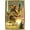 Gold Framed Version, variant on Star Wars: Attack Of The Clones - Celebration Mural Wall Poster, 14.725" x 22.375", Framed