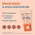 thumbnail image 4 of NativePath Hydrate Electrolyte Stick Packets Peach Mango, Zero Sugar, BCAAs, Keto, 30 Count, 4 of 9