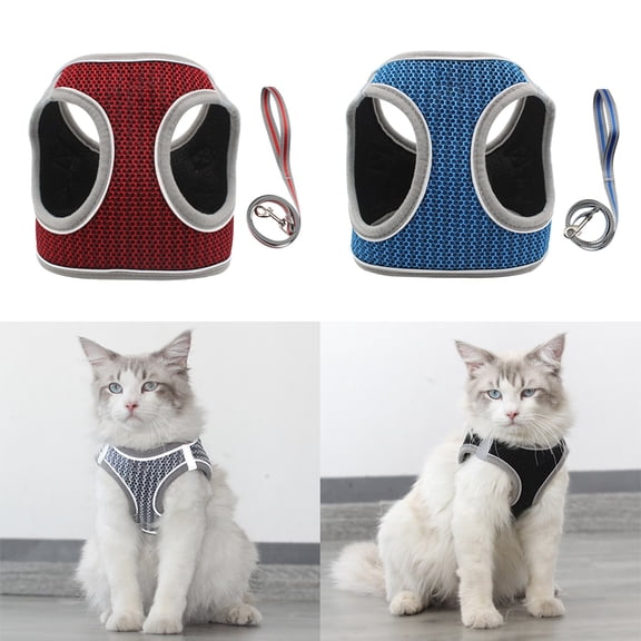 SPRING PARK Soft Mesh 360 Degree Adjustable Reflective Dog Harness and Leash Set for Small Medium Dogs/Cats, Cat Harness and Leash for Walking