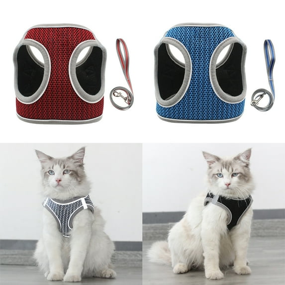 SPRING PARK Soft Mesh 360 Degree Adjustable Reflective Dog Harness and Leash Set for Small Medium Dogs/Cats, Cat Harness and Leash for Walking