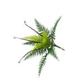 thumbnail image 1 of CSChome Artificial Plant Easy Maintenance Artificial Plant: Realistic Plastic Simulation Decoration, 1 of 7
