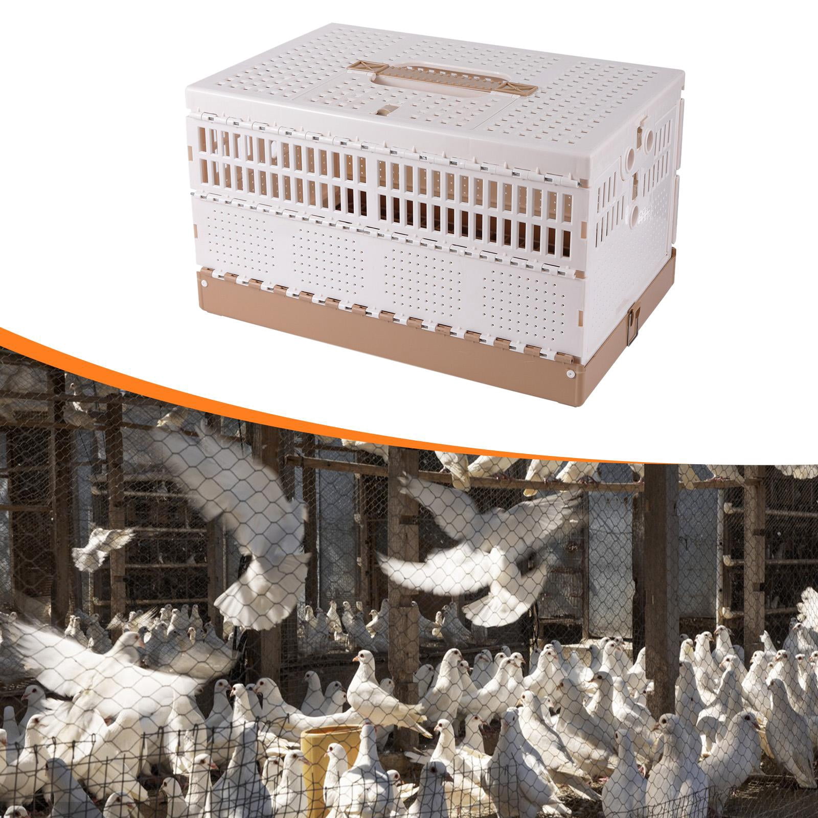 Pigeon Cage Foldable Bird Travel Carrier with Handle for Competition Transportation Training Parrots Doves