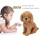 thumbnail image 2 of Realistic Plush Toy Dog Labradoodle Dog Plush Stuffed Animal For Kids, 2 of 5