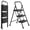 Black, variant on Casabay 2-Step Ladder with Anti-Slip Pedal, Foldable Step Stool with Solid Triangular Structure & 800 Lbs Sturdy Steel Ladder for Home, Kitchen, Garage, Blue