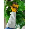 thumbnail image 4 of XL Guantes de jardinería Guantes de trabajo de cuero para mujer/hombre - Guantes de jardinería Regalo Herramientas de jardinería Guantes anticortes Guantes de rosas espinosas Herramientas de jardiner, 4 of 5