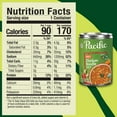 thumbnail image 4 of (2 pack) Pacific Foods Organic Spicy Chicken Noodle Soup, 16.1 oz Can, 4 of 14