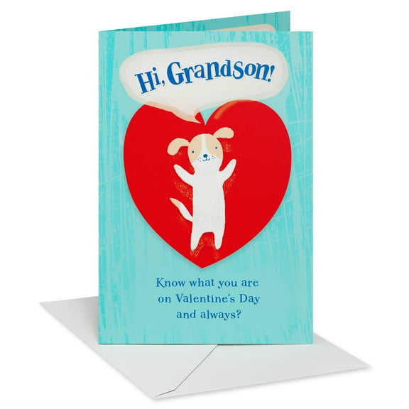 American Greetings Valentine's Day Card for Grandson (Loved!)