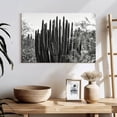 thumbnail image 3 of Elephant Stock Black Arizona - Big Cactus Wall Art - Horizontal Canvas Wall Art - Living Room Wall Decor - Floral And Botanical Canvas - Black And Gray Decor By Philippe Hugonnard - 24" x 16", 3 of 8