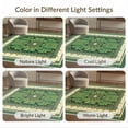 thumbnail image 7 of ODIKA 8'x10' Washable Area Rug Durable, Non-Slip Graphic Men Bold Borders Funky Bathroom Designer Anime Mens Cartoon for Living Room, Under Sectional, Family, 7 of 7