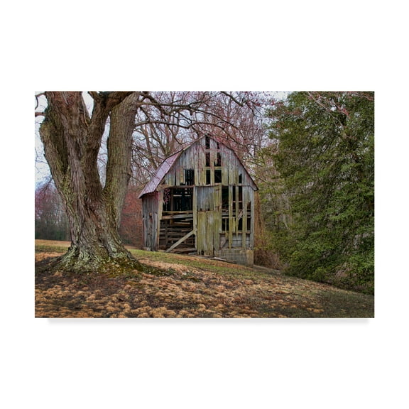 Trademark Fine Art 'Barn Shell' Canvas Art by Lori Hutchison