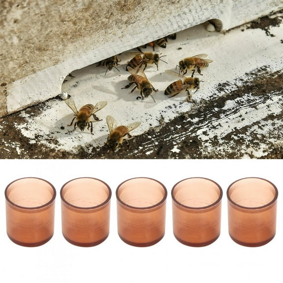 500Pcs Brown Plastic Queen Rearing Cell Cups - Durable, Non - Toxic Beekeeping Tool for Safe Larvae Rearing & Queen Bee Cultivation