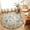 Brown, variant on Entryway Rug 2'x3', Summer Coastal Kitchen Runner Rugs Non-Slip Carpet Mats, Marine Beach Seashell Starfish Conch Beige Bedside Rugs Runners Washable Floor Carpet for Bathroom Laundry Room