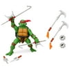 Teenage Mutant Ninja Turtles Combat Warrior Raph