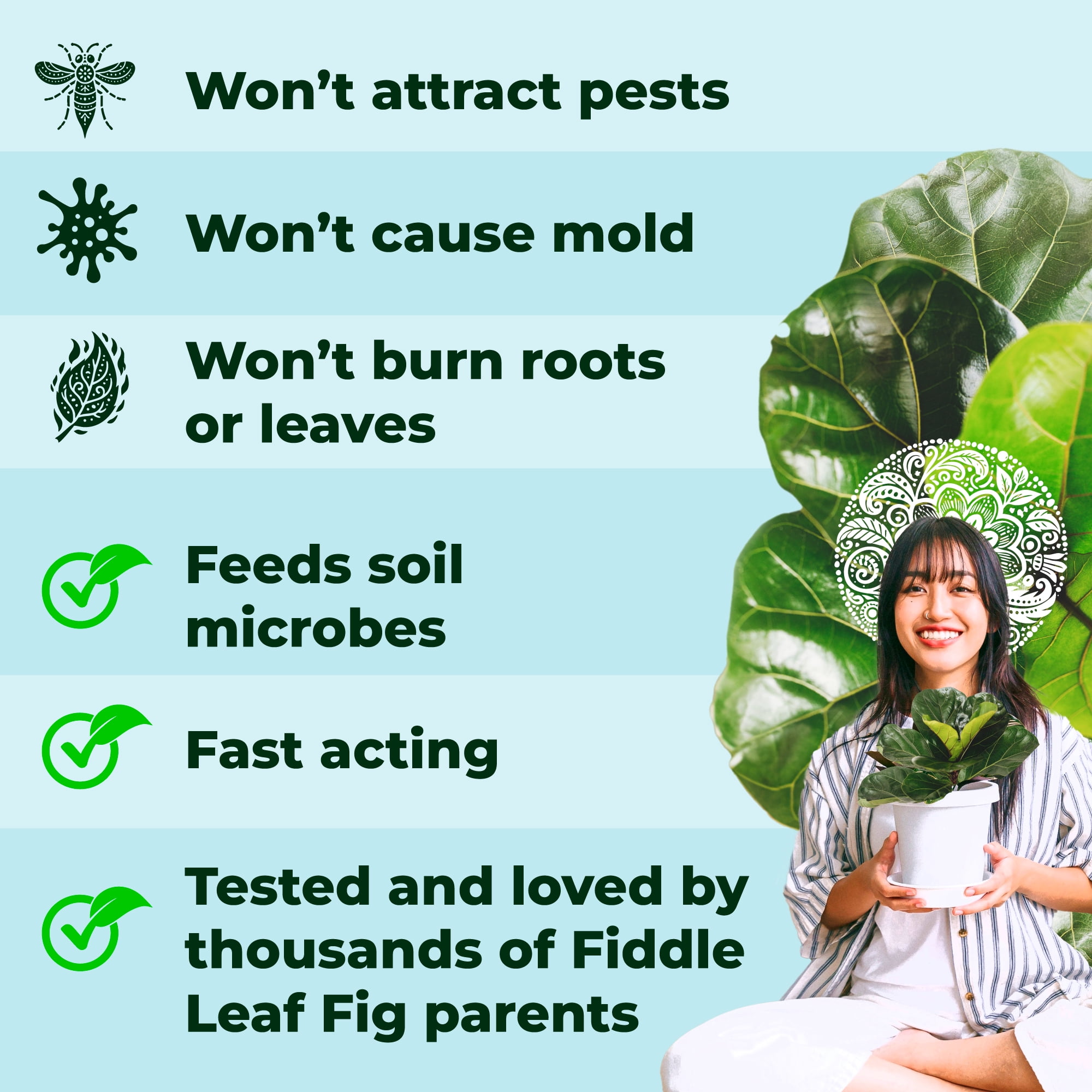 Fiddle Leaf Fig Tree Plant Food | 3-1-2 NPK + Kelp | Indoor Fertilizer, Water Soluble (8oz) Bless Your Soil