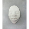 thumbnail image 4 of ACTÍVA Li-Qua-Che Liquid Casting Compound, 1 Quart, 4 of 4